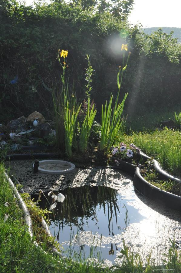 La Pie Grieche Bed & Breakfast Lucquy Bagian luar foto